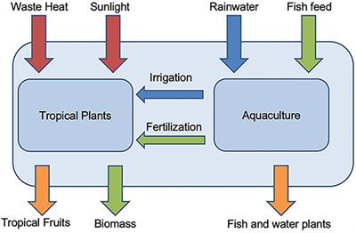 Estimating the Water and Carbon Footprints of Growing Avocados in the Munich Metropolitan Region Using Waste Heat as a Water-Energy-Food Nexus Potential